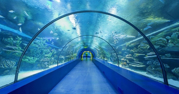 土耳其：Antalya水族馆--常州几何纹
