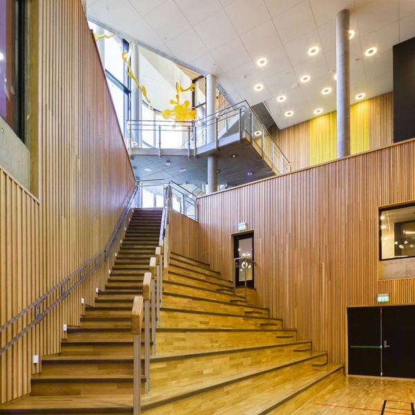 挪威:Ny Krohnborg学校 常州几何纹营造学社 挪威:Ny Krohnborg学校 常州几何纹营造学社